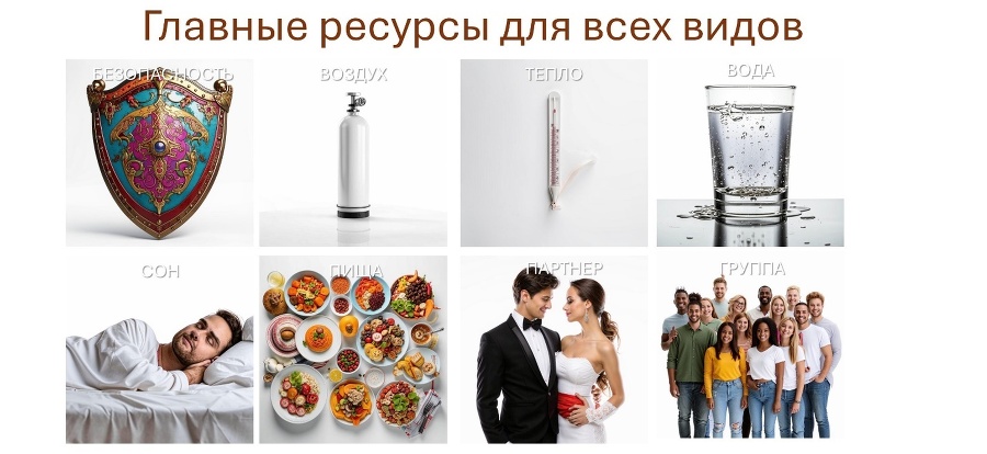 Как мозг управляет внешней политикой - _12.jpg