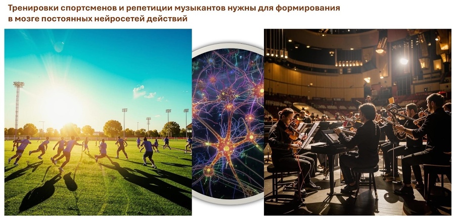 Как мозг управляет внешней политикой - _6.jpg