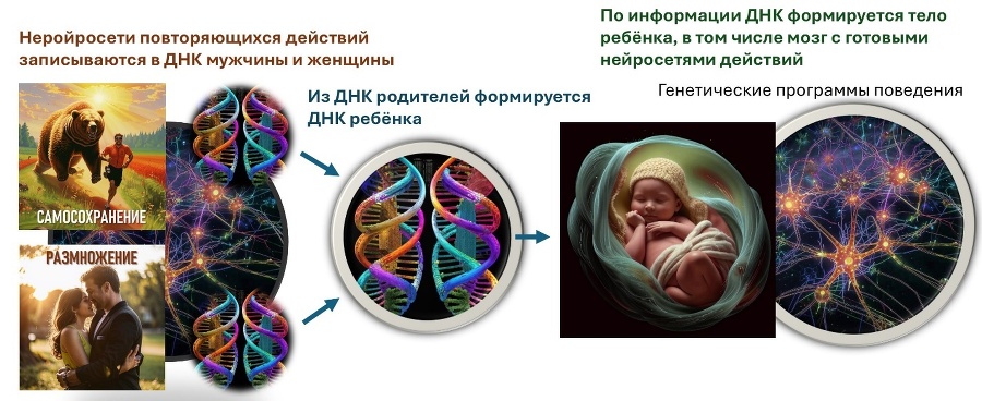 Как мозг управляет внешней политикой - _7.jpg