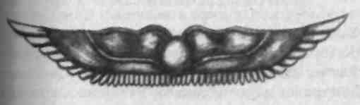 Жемчужина Древней Мудрости. Размышления Учителя об истории человечества, книга II - i_003.jpg