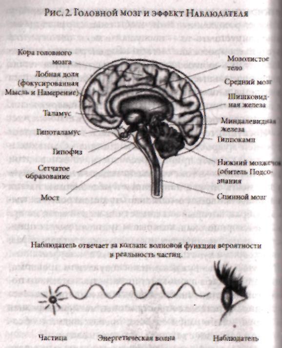 Жемчужина Древней Мудрости. Размышления Учителя об истории человечества, книга II - i_004.jpg