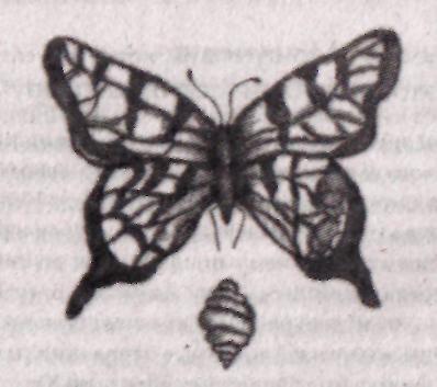 Жемчужина Древней Мудрости. Размышления Учителя об истории человечества, книга II - i_010.jpg