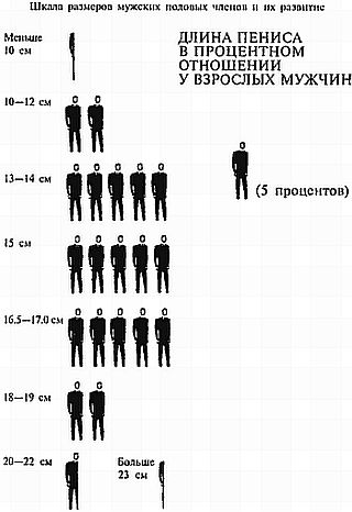 Как увеличить размеры мужского полового члена - i_011.jpg