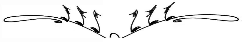 ОПЫТЫ ПРИКЛАДНОЙ ФИЛОСОФИИ: интеллигенция, народ и другие - _2.jpg