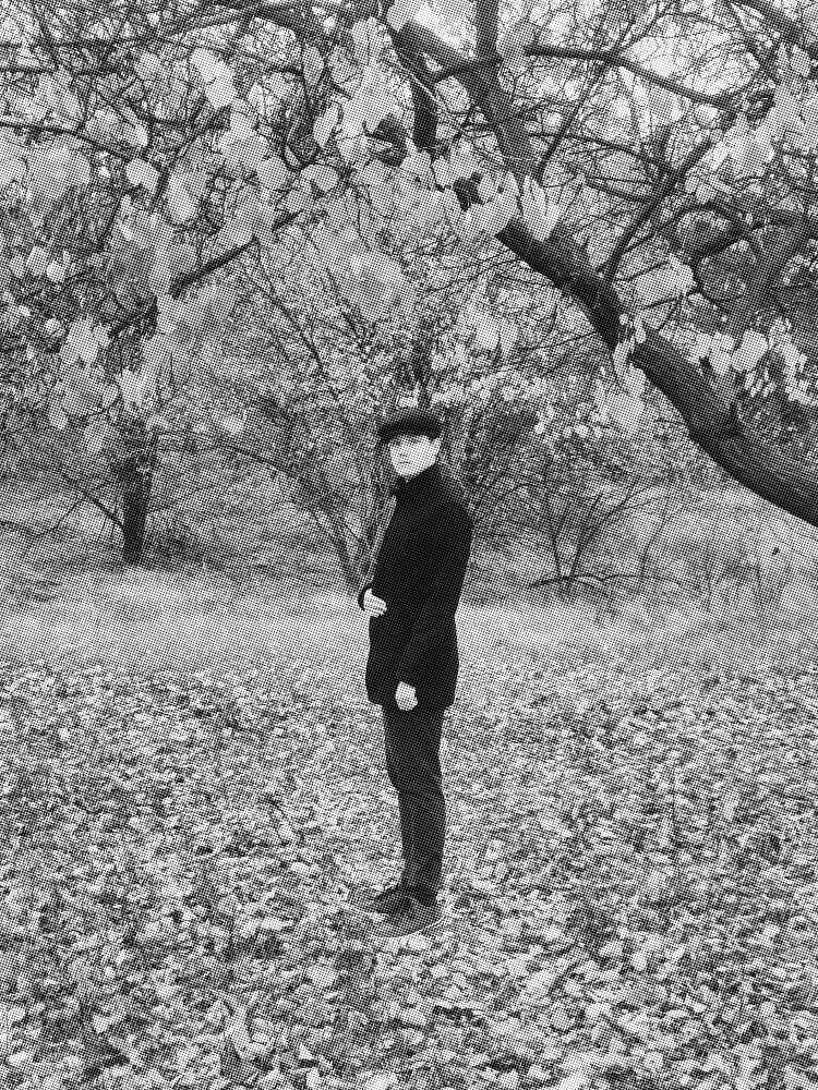 Друзья Бергманна - _1.jpg