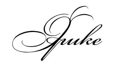 Liber Obscura. Тёмная книга, Эрика и её кошмарное приключение в двузначность - i_009.jpg