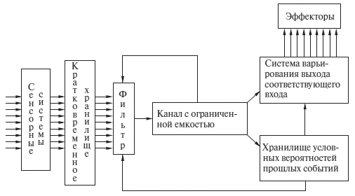 Как сманить кота со шкафа. Когнитивная психология о мышлении - i_002.jpg