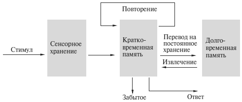 Как сманить кота со шкафа. Когнитивная психология о мышлении - i_003.jpg