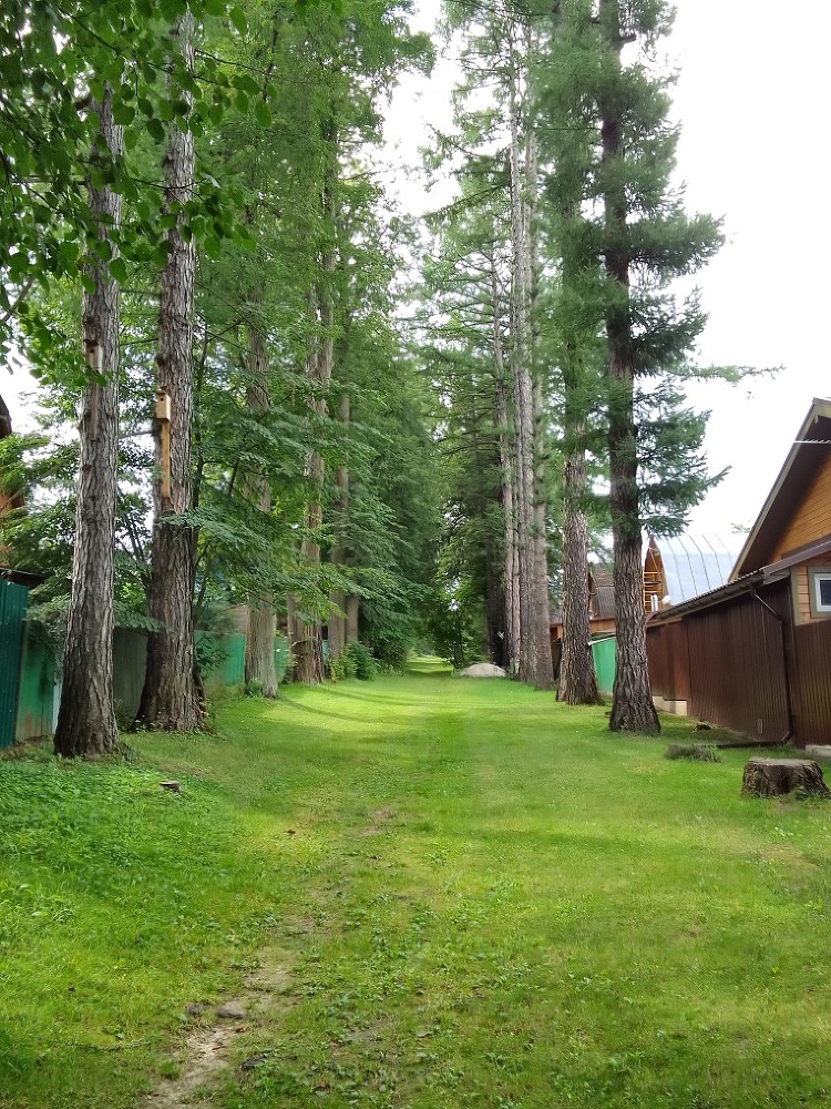 Марфино. Казакову - _1.jpg