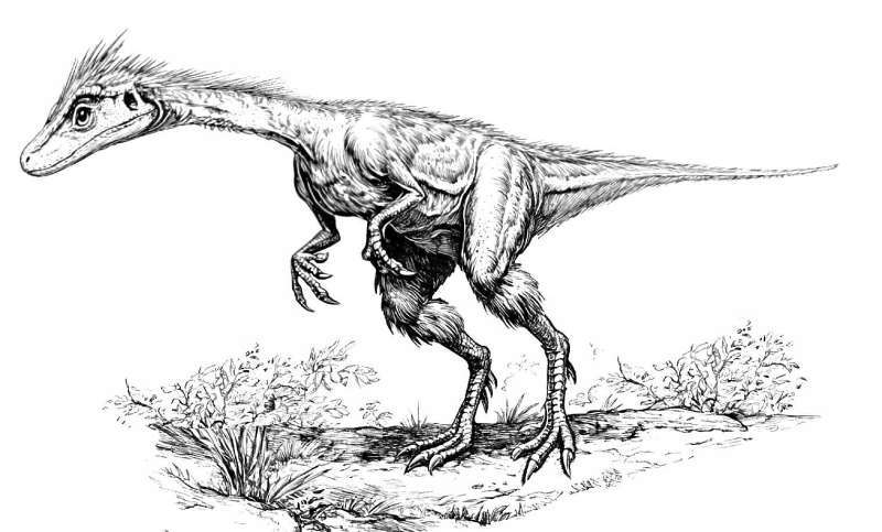 Динозаврикум. Тайны исполинских ящеров - i_002.jpg