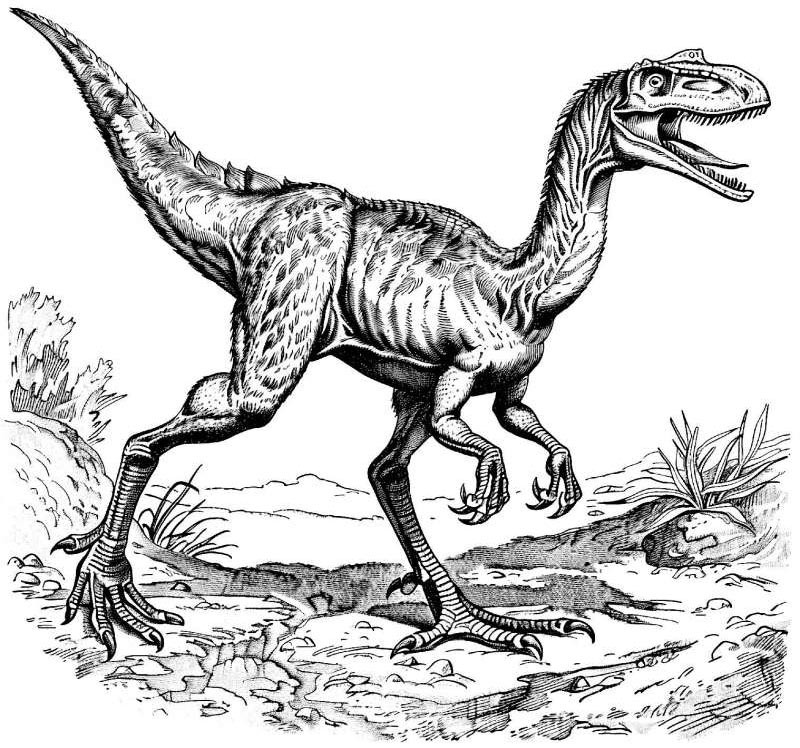 Динозаврикум. Тайны исполинских ящеров - i_011.jpg