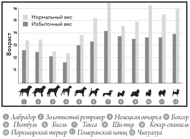 Собака навсегда. The forever dog. Прорывное научное открытие, которое поможет сохранить здоровье и продлить жизнь вашей собаке - i_005.jpg