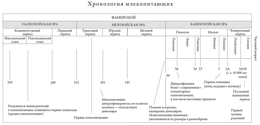 Эра млекопитающих: Из тени динозавров к мировому господству - i_003.jpg