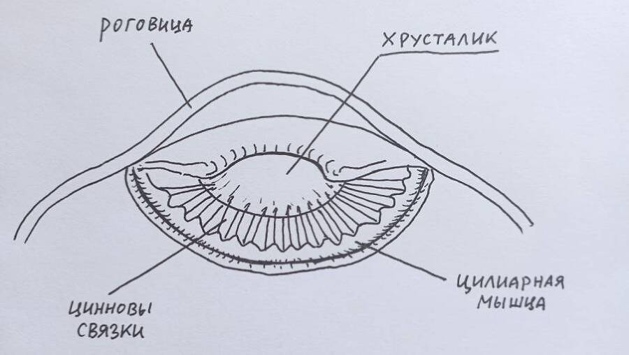 Хорошее зрение за 30 дней - _14.jpg