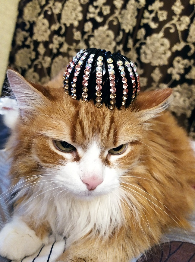 Планета рыжих кошек - _6.jpg