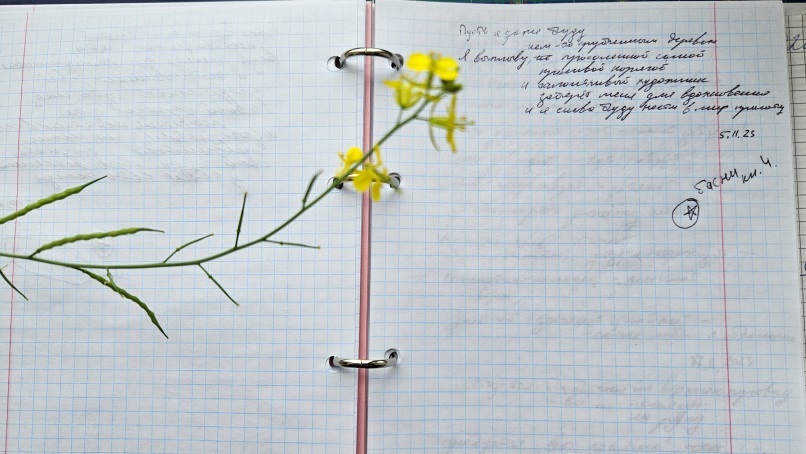 Кто-то должен вам это сказать. Книга 4 - _1.jpg