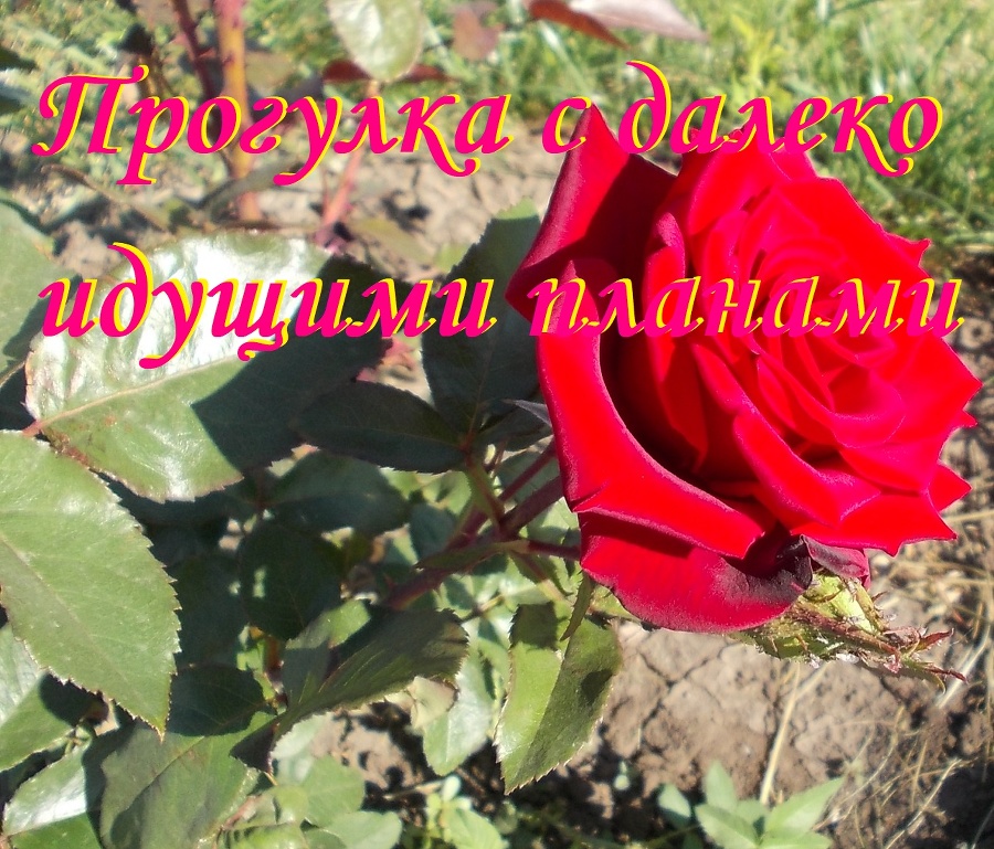 Тысяча и одна Ведьма 2 - _10.jpg