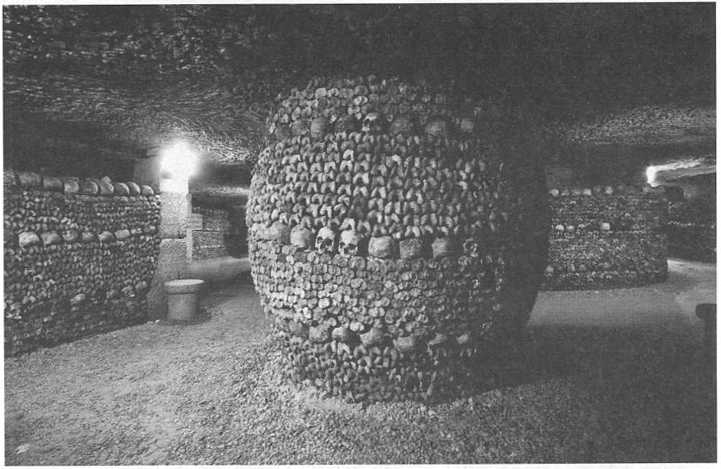 Рождение и смерть похоронной индустрии: от средневековых погостов до цифрового бессмертия - img_5.jpg