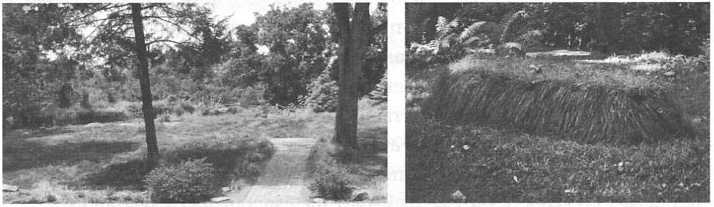 Рождение и смерть похоронной индустрии: от средневековых погостов до цифрового бессмертия - img_102.jpg