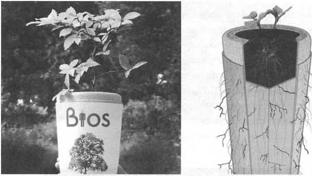 Рождение и смерть похоронной индустрии: от средневековых погостов до цифрового бессмертия - img_103.jpg