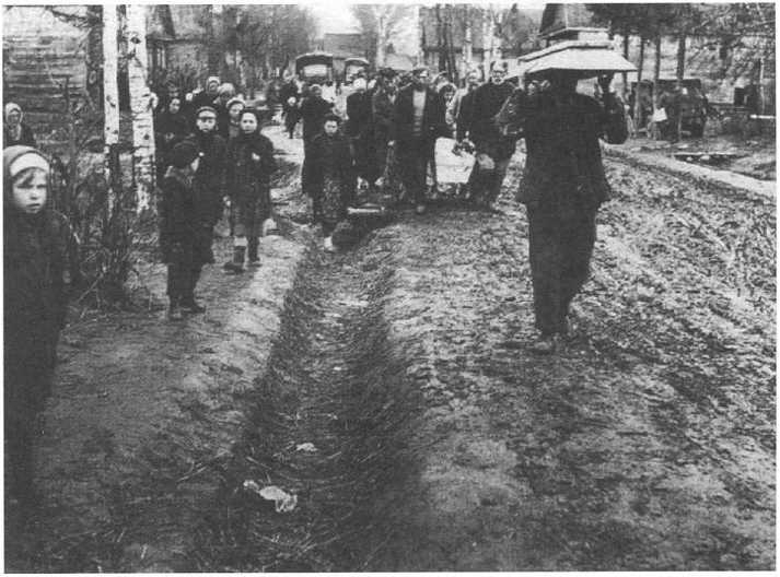 Рождение и смерть похоронной индустрии: от средневековых погостов до цифрового бессмертия - img_79.jpg