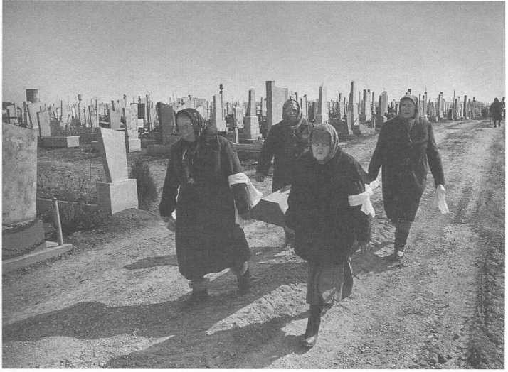 Рождение и смерть похоронной индустрии: от средневековых погостов до цифрового бессмертия - img_85.jpg