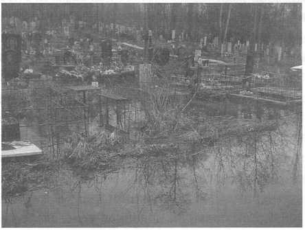 Рождение и смерть похоронной индустрии: от средневековых погостов до цифрового бессмертия - img_90.jpg