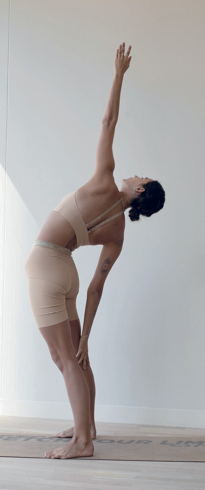 Топстретчинг. Упражнения для развития гибкости тела и ума - i_019.jpg