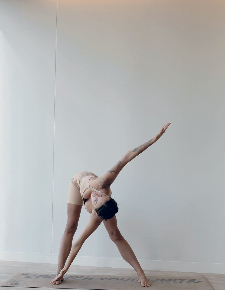 Топстретчинг. Упражнения для развития гибкости тела и ума - i_033.jpg