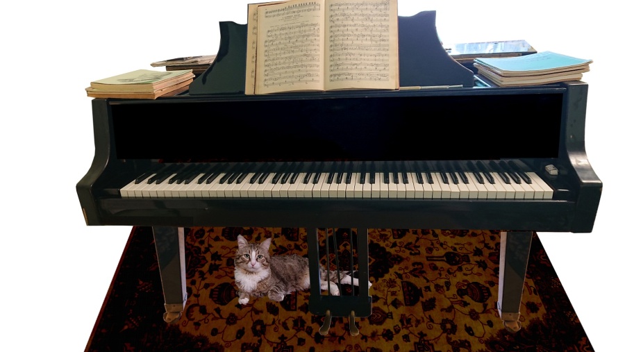 ЗАЧЕМ КОШКЕ ПЯТЫЙ ПАЛЕЦ? - _0.jpg