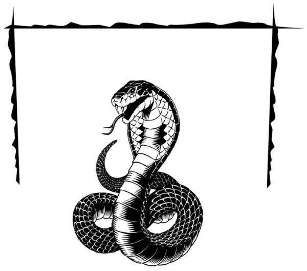 Клан тигров - i_006.jpg