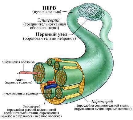 Спасите меня, Кацураги-сан! Том 10 (СИ) - _3db1a7c883c7483280a2035a11c953e6.jpg