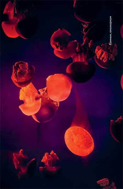 Живая Корея. Все о развлечениях и жизни молодежи - i_003.jpg