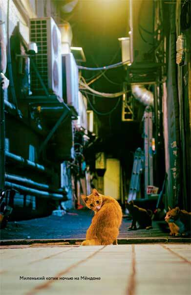 Живая Корея. Все о развлечениях и жизни молодежи - i_012.jpg