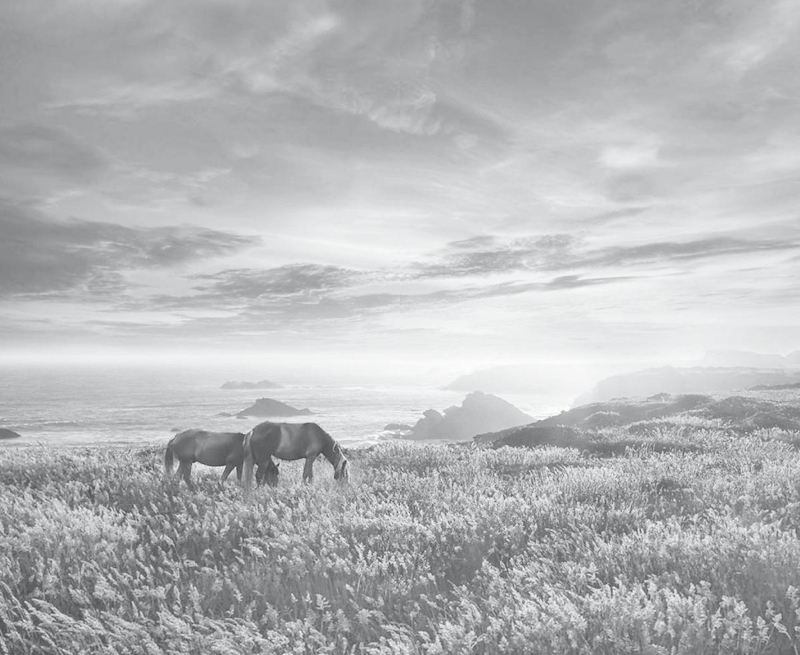 Убежище - i_002.jpg