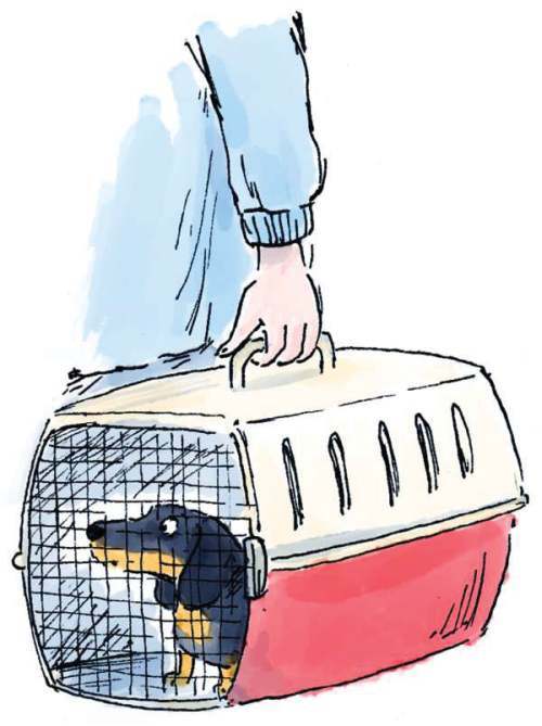 Щенок Коко, или Загадка с одной таксой - i_002.jpg