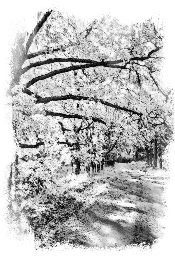 Утешение - _03.jpg