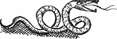 Жизнеописание Сайфа сына царя Зу Язана - i_078.png