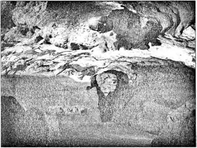 100 великих достопримечательностей Франции - i_014.jpg