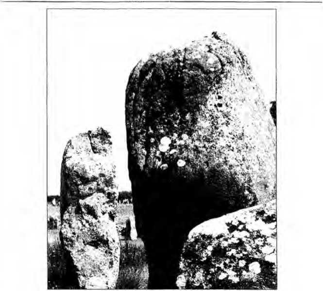 100 великих достопримечательностей Франции - i_015.jpg