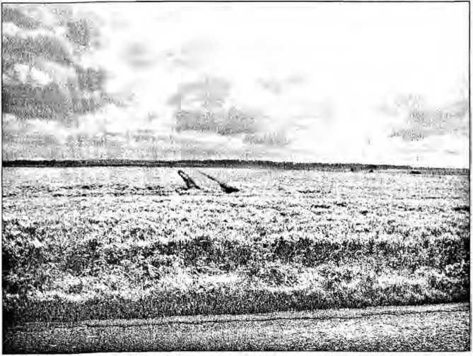 100 великих достопримечательностей Франции - i_085.jpg