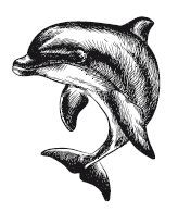 Дочь глубин - i_006.jpg