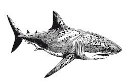 Дочь глубин - i_007.jpg