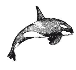 Дочь глубин - i_009.jpg