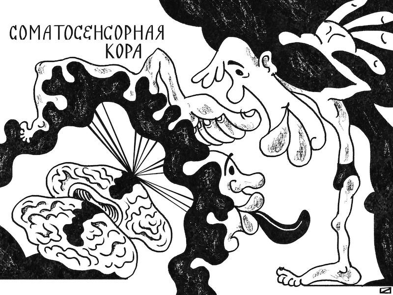 Охота на электроовец. Большая книга искусственного интеллекта - image185.jpg
