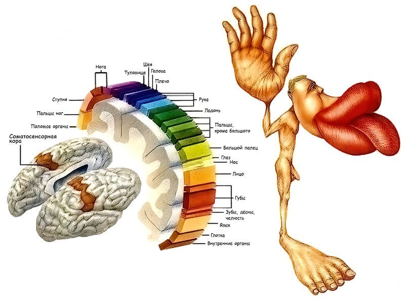 Охота на электроовец. Большая книга искусственного интеллекта - image186.jpg