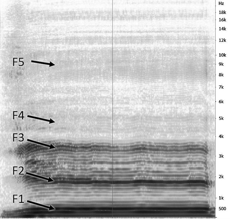 Охота на электроовец. Большая книга искусственного интеллекта - image223.jpg