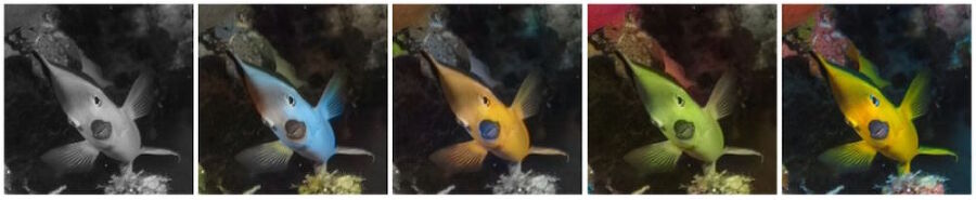 Охота на электроовец. Большая книга искусственного интеллекта - image278.jpg