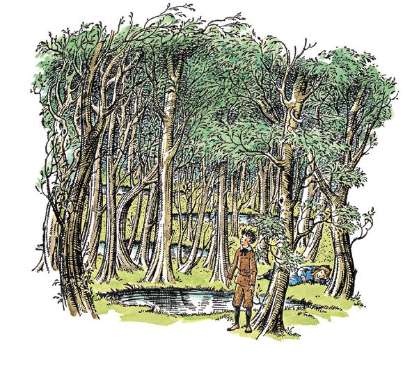 Хроники Нарнии. Начало истории - i_006.jpg