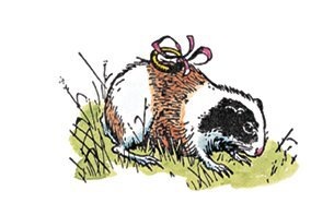 Хроники Нарнии. Начало истории - i_007.jpg